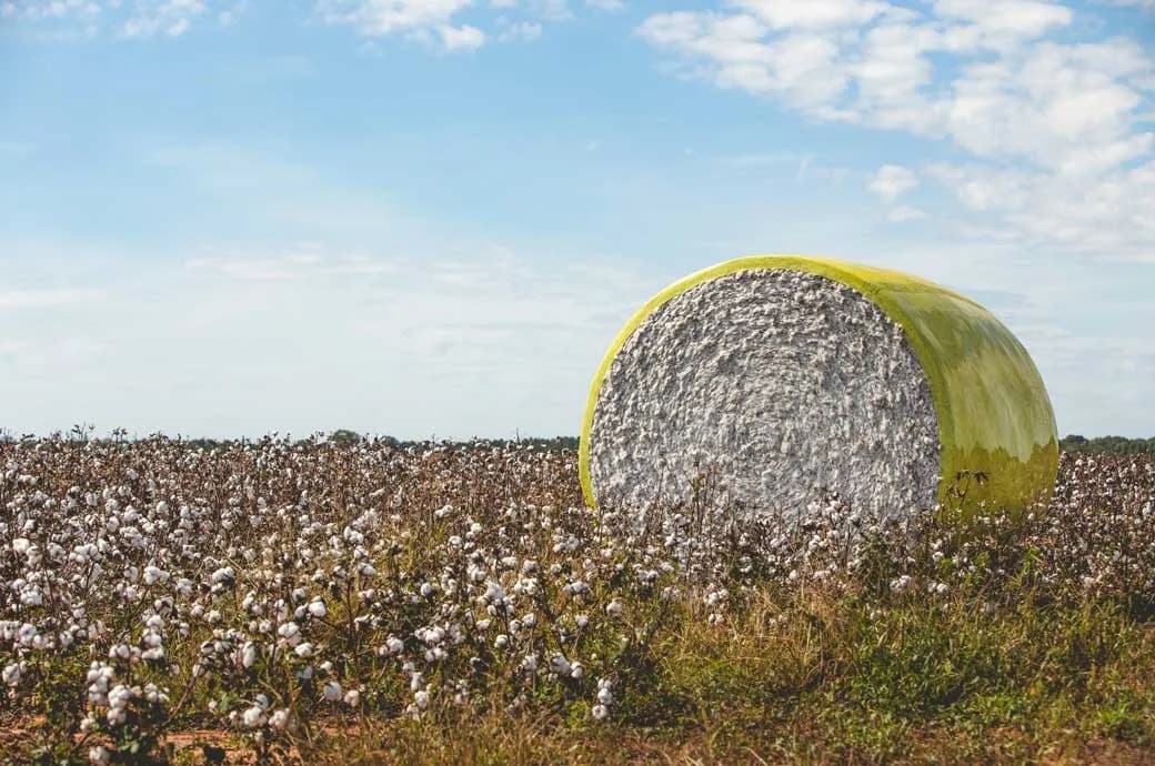 Cotton Bales