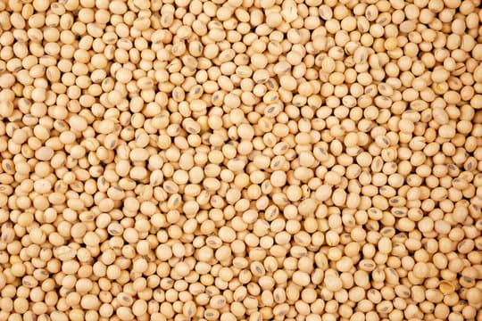Soya Beans
