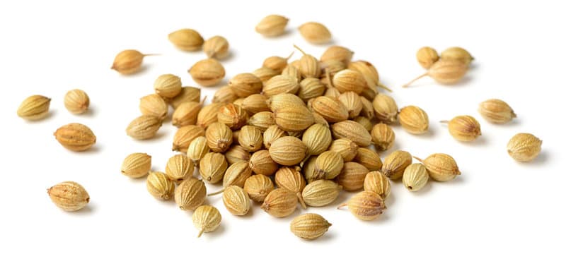 Coriander Seed