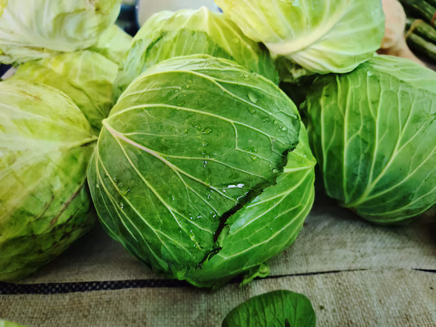 Cabbage